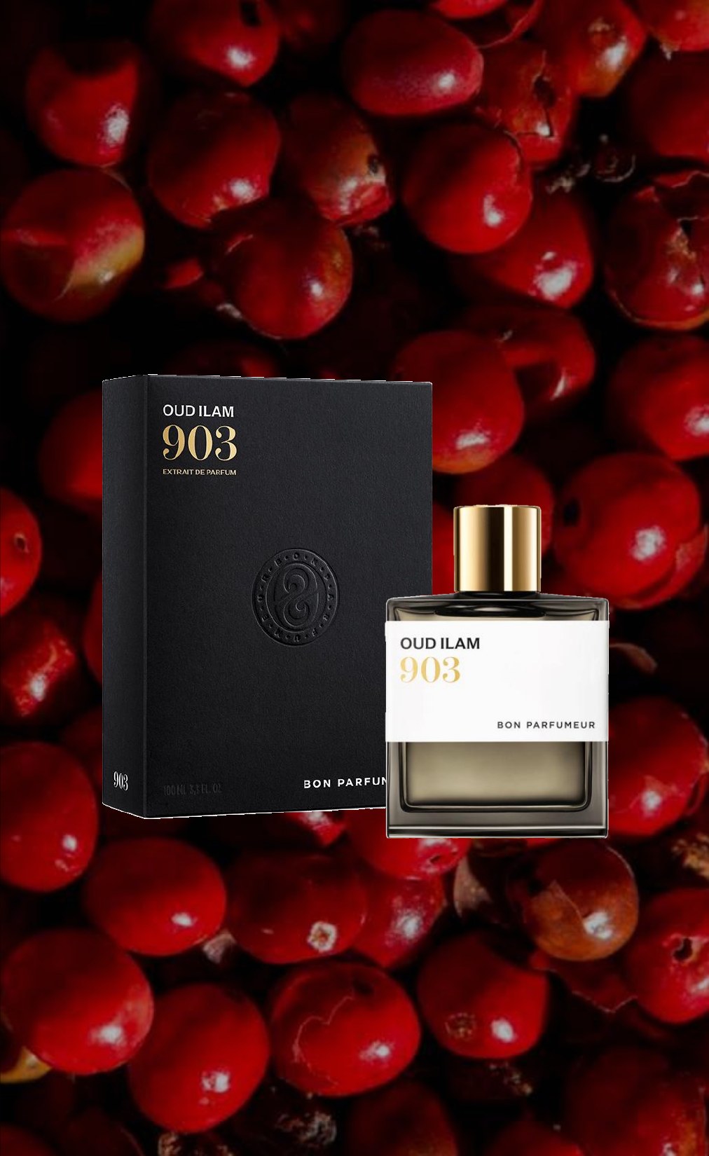Oud Ilam 903